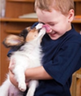 Love Is A Many Splendored Thing